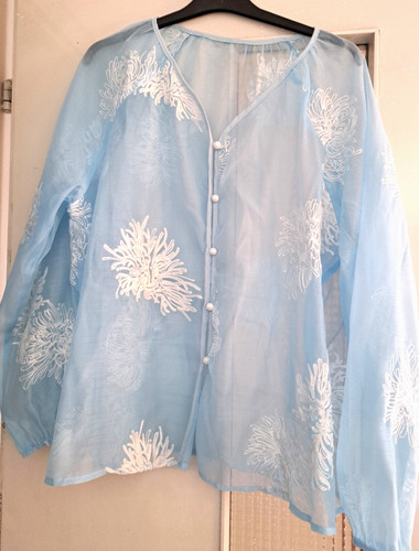 Transparente bluse langarm - bluse,